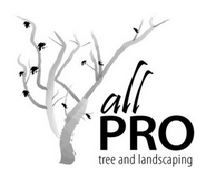 All Pro Tree & Landscaping